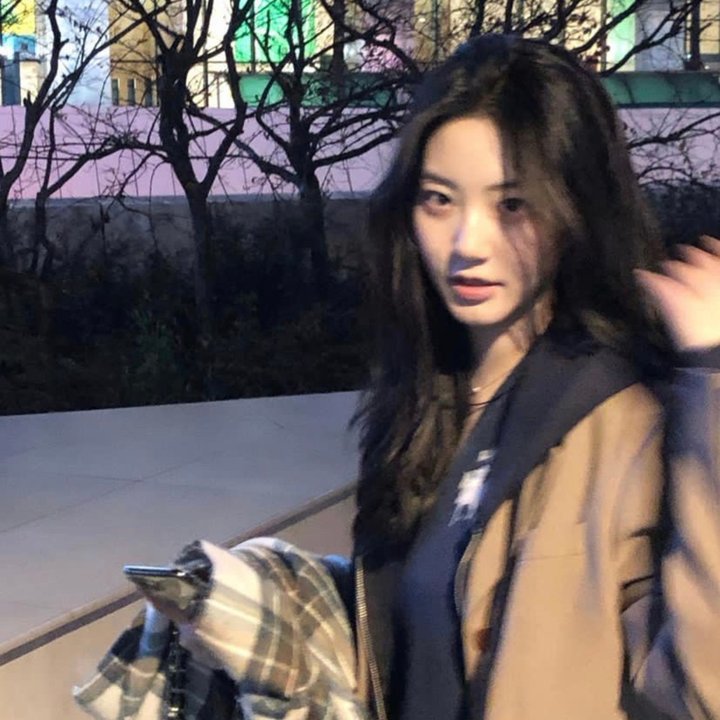 摩斯拉决战哥斯拉